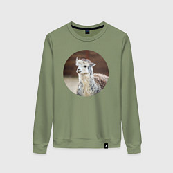 Свитшот хлопковый женский Альпака, цвет: авокадо