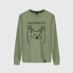 Свитшот хлопковый женский Architects - rock cat, цвет: авокадо