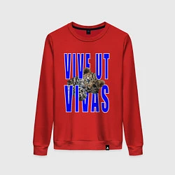 Свитшот хлопковый женский Vive ut vivas, цвет: красный