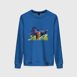 Женский свитшот Глухарь