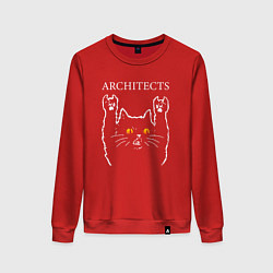 Женский свитшот Architects rock cat