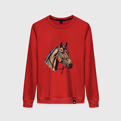 Свитшот хлопковый женский Коняка скакуняка, цвет: красный