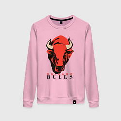 Женский свитшот Chicago bull