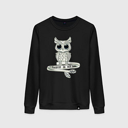 Свитшот хлопковый женский Серебряная сова на кольце, цвет: черный