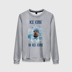 Женский свитшот Ice Cube in ice cube