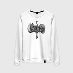 Свитшот хлопковый женский Страус распушился, цвет: белый