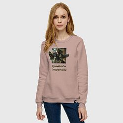 Свитшот хлопковый женский Имперский рыцарь, цвет: пыльно-розовый — фото 2