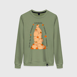 Свитшот хлопковый женский Гора капибара, цвет: авокадо