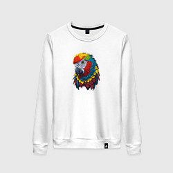 Женский свитшот Красочный попугай в ярких перьях