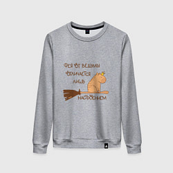 Женский свитшот Мем капибара на метле: фея и ведьма