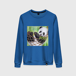 Свитшот хлопковый женский Панда медвед, цвет: синий
