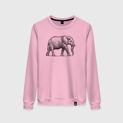 Свитшот хлопковый женский Слон гуляет, цвет: светло-розовый
