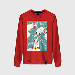 Женский свитшот Три ламы альпаки и цветы: no prob llama