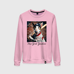 Женский свитшот Bull terrier - New York yankees baseball team