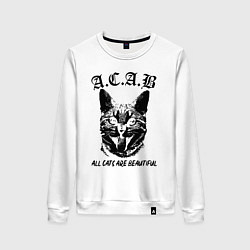 Свитшот хлопковый женский All cats are beautiful, цвет: белый