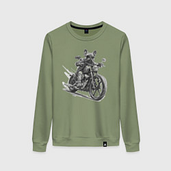 Свитшот хлопковый женский Французский бульдог байкер на мотоцикле чоппере, цвет: авокадо