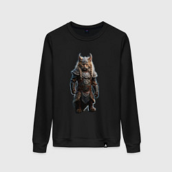 Женский свитшот Кот викинг