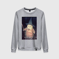 Свитшот хлопковый женский Магический мяв кот-мем колдун, цвет: меланж