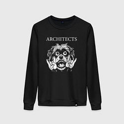 Женский свитшот Architects rock dog