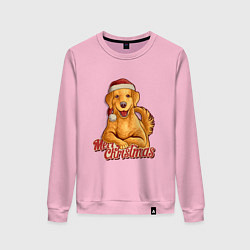 Женский свитшот Новогодний ретривер