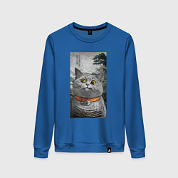 Свитшот хлопковый женский Мемный кот в японском стиле, цвет: синий