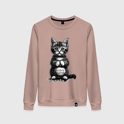 Женский свитшот Котенок преступник разбил новогодний шарик