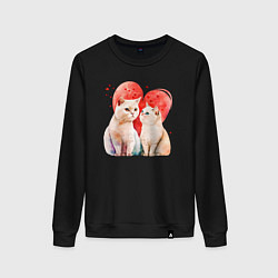 Женский свитшот Любовь кошачья