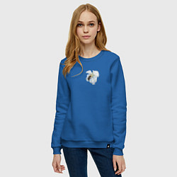 Свитшот хлопковый женский Весна, цвет: синий — фото 2