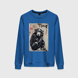 Свитшот хлопковый женский Style monkey, цвет: синий