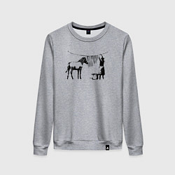 Свитшот хлопковый женский Banksy zebra, цвет: меланж