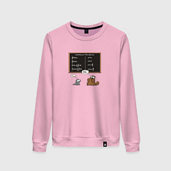 Женский свитшот Уравнения Максвелла