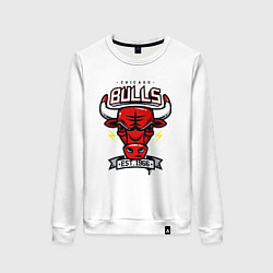 Женский свитшот Chicago bulls head
