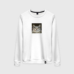 Свитшот хлопковый женский Cat meme, цвет: белый