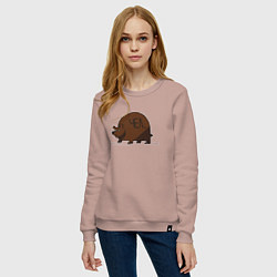 Свитшот хлопковый женский Медведь округлый чел, цвет: пыльно-розовый — фото 2