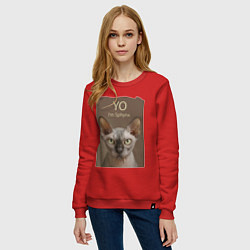 Свитшот хлопковый женский Yo - Im Sphynx, цвет: красный — фото 2