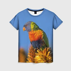 Женская футболка Попугай на солнце