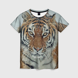 Женская футболка Тигр в снегу