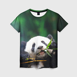 Женская футболка Панда на ветке