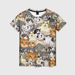 Женская футболка ALL CATS MEMES