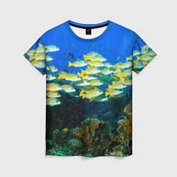 Женская футболка Коралловые рыбки