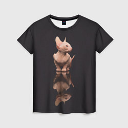 Женская футболка Милый котенок сфинкса