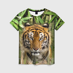 Женская футболка Матёрый тигр в зарослях бамбука