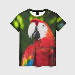 Женская футболка Красный попугай Ара