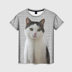 Женская футболка Задумчивый котик