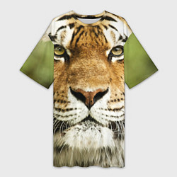Женская длинная футболка Амурский тигр