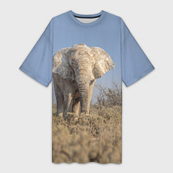 Футболка женская длинная Африканский белый слон, цвет: 3D-принт
