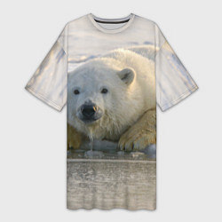 Женская длинная футболка Белый медведь ожидает