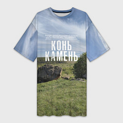 Женская длинная футболка Конь-Камень на Красивой Мече