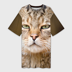 Женская длинная футболка Взгляд кошки