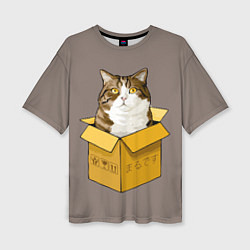 Женская футболка оверсайз Котик в коробке